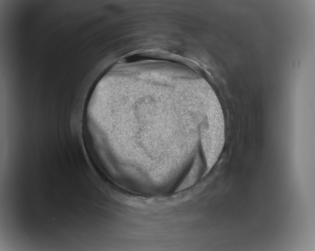 X0000088450003200706191319