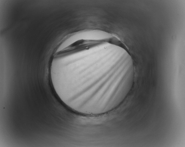 X0000088450005200706191319