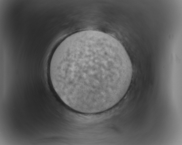 X0000088450006200706191319