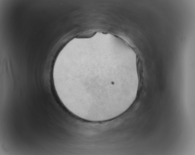 X0000088450007200706191319