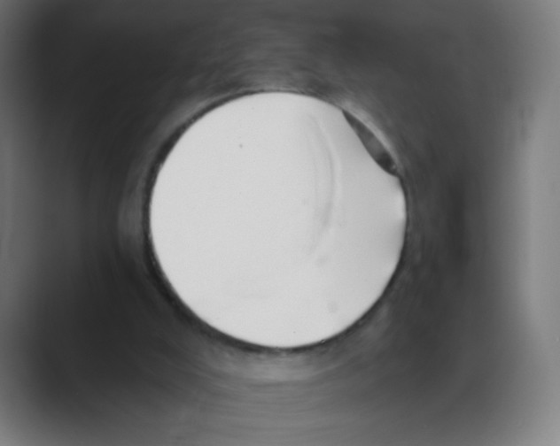 X0000088450008200706191319