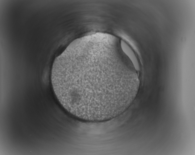 X0000088450009200706191319