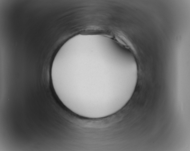 X0000088450011200706191319