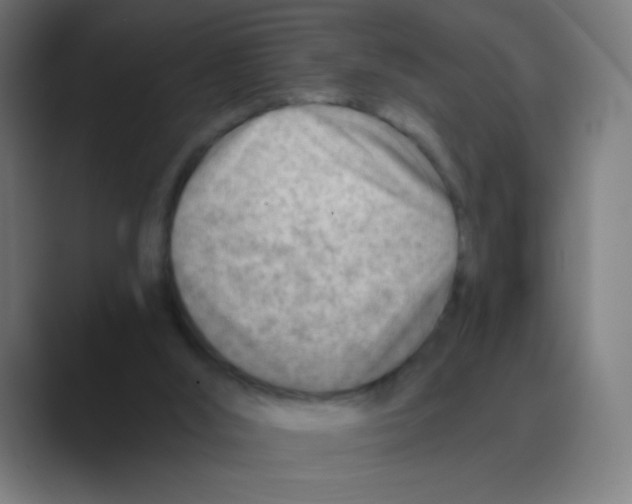 X0000088450012200706191319