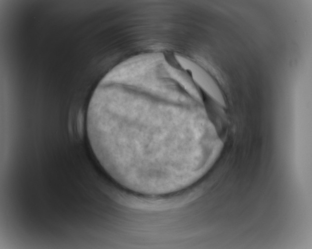 X0000088450014200706191319