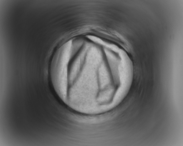 X0000088450015200706191319
