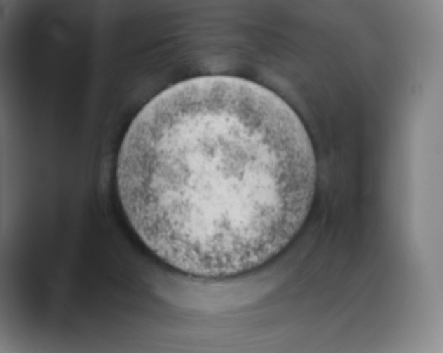 X0000088450018200706191319