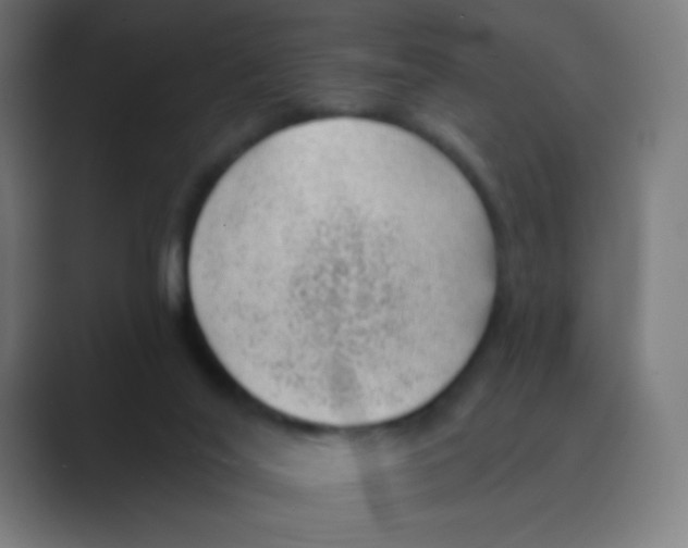 X0000088450020200706191319