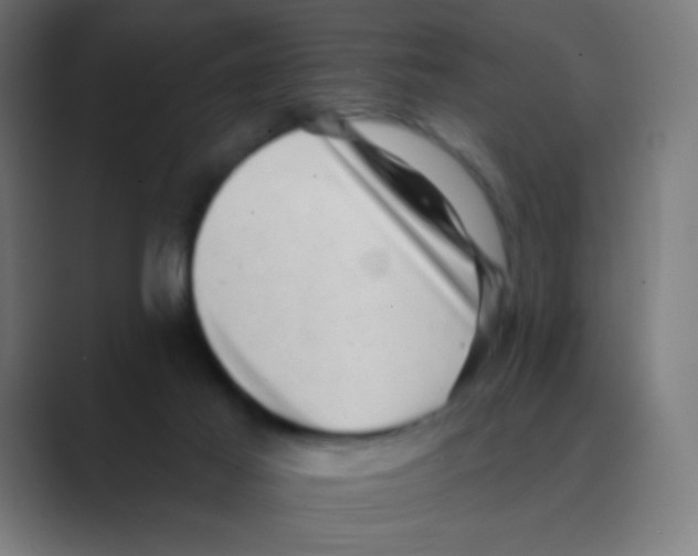 X0000088450021200706191319