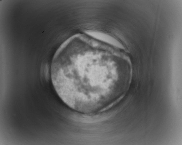 X0000088450022200706191319