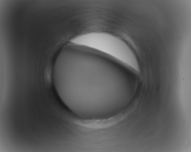 X0000088450023200706191319