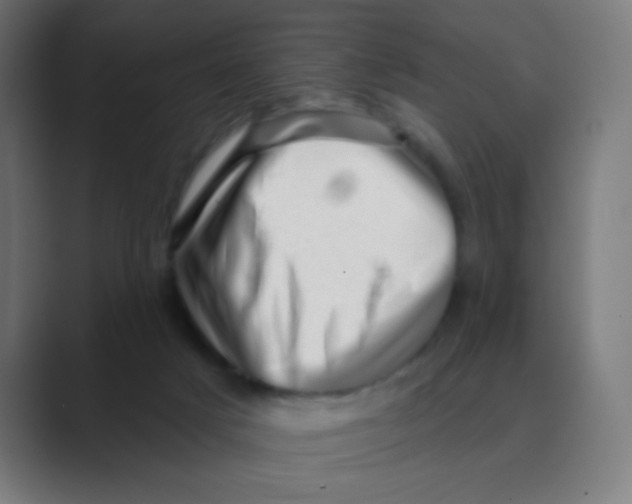 X0000088450025200706191319