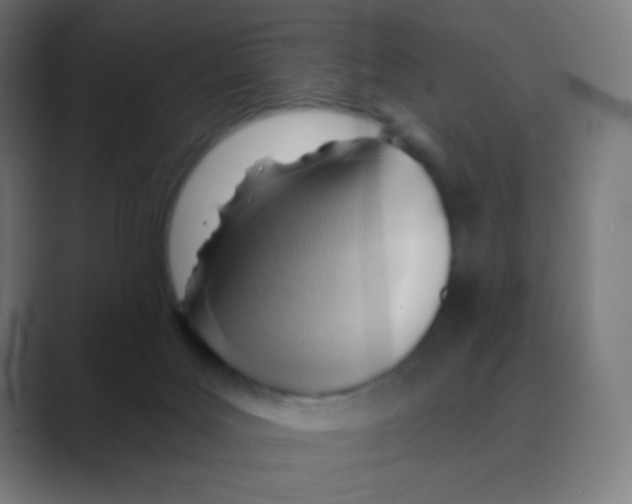 X0000088450027200706191319