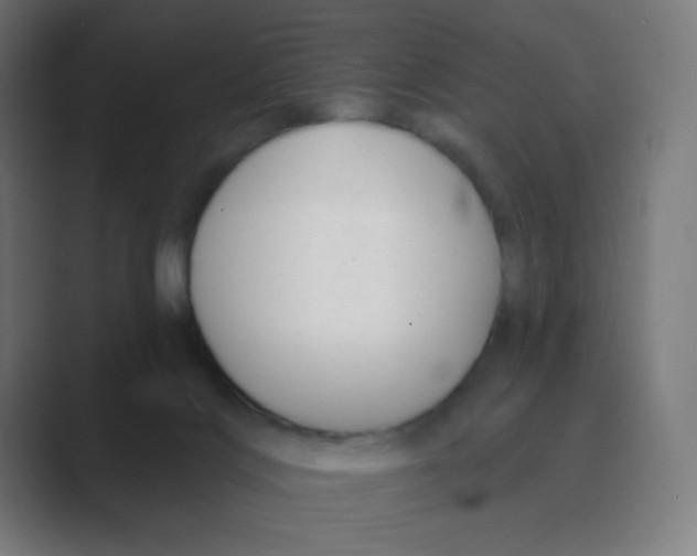 X0000088450028200706191319