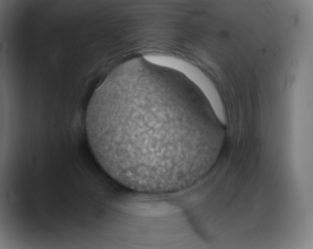 X0000088450029200706191319