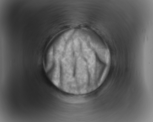 X0000088450032200706191319