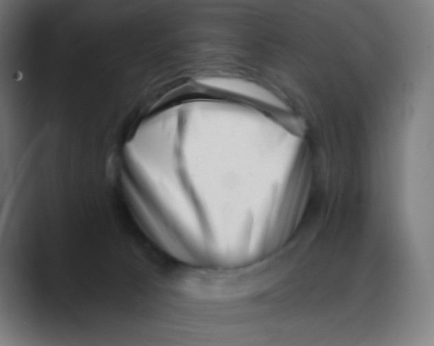 X0000088450033200706191319