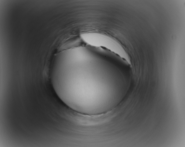 X0000088450035200706191319