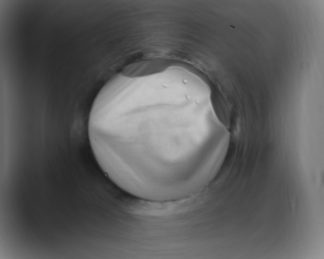 X0000088450037200706191319