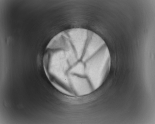 X0000088450038200706191319