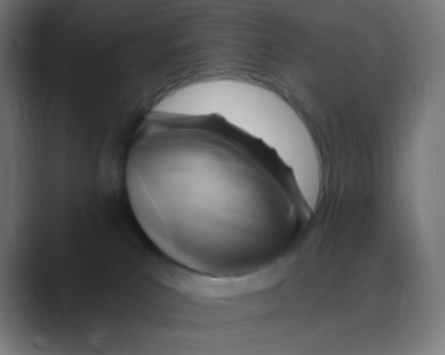 X0000088450039200706191319