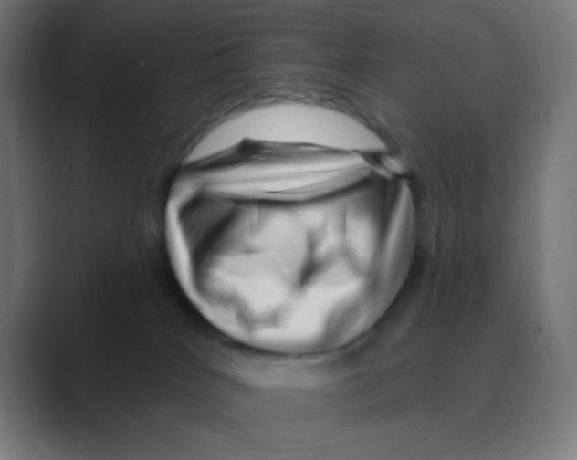 X0000088450040200706191319