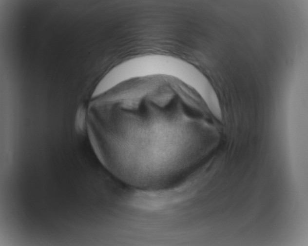 X0000088450041200706191319