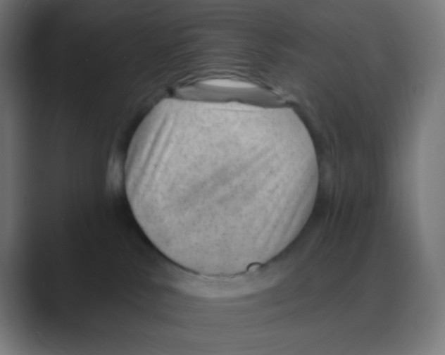 X0000088450042200706191319