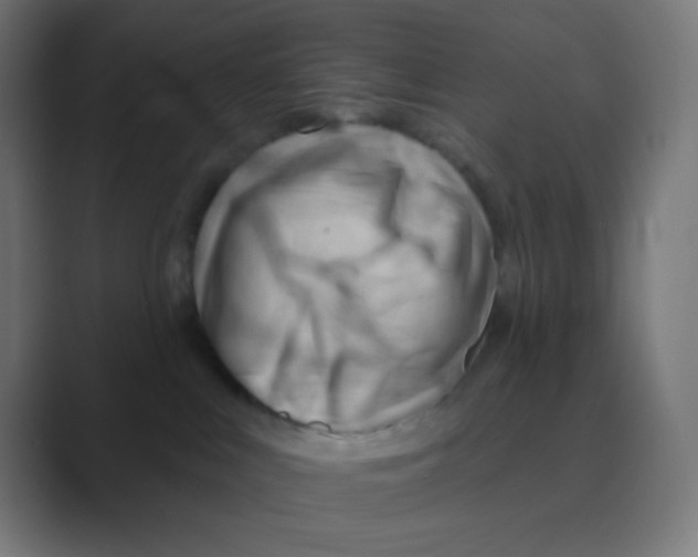 X0000088450043200706191319