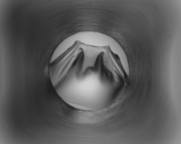 X0000088450045200706191319