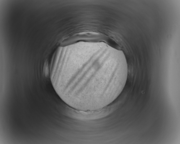 X0000088450046200706191319