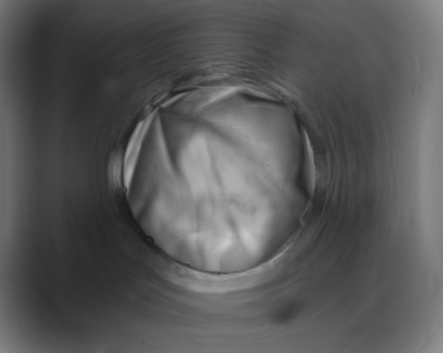 X0000088450047200706191319