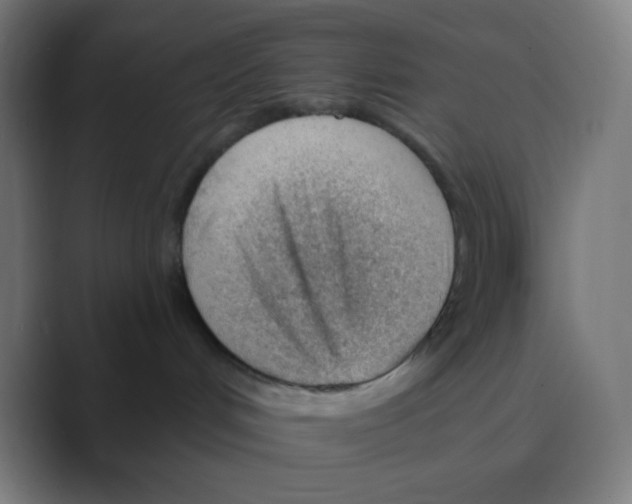 X0000088450048200706191319