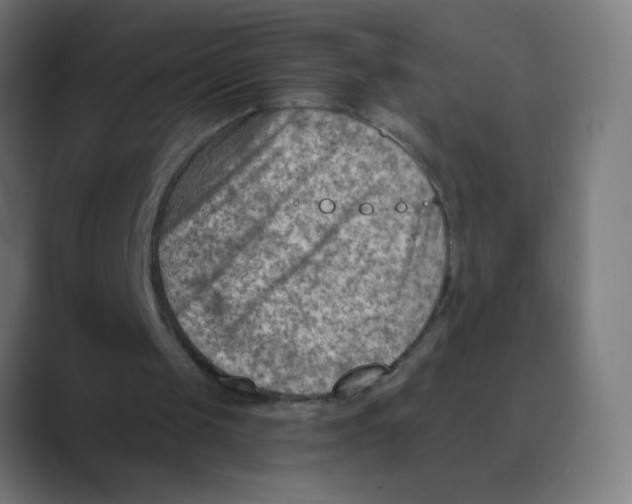 X0000088450049200706191318