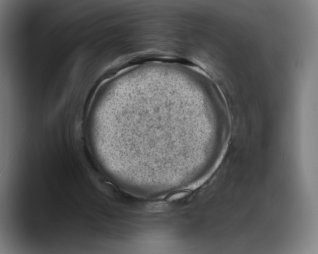 X0000088450050200706191318