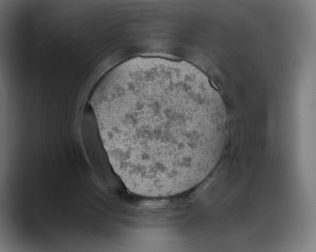 X0000088450051200706191318