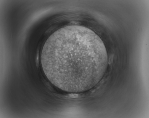X0000088450052200706191318