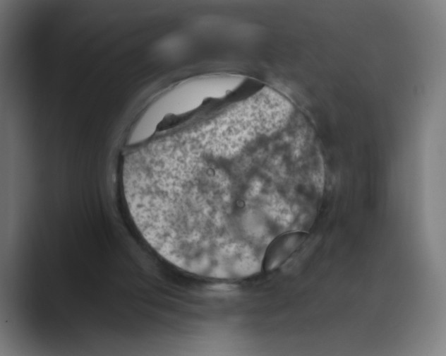 X0000088450053200706191318