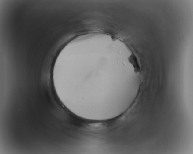 X0000088450054200706191318