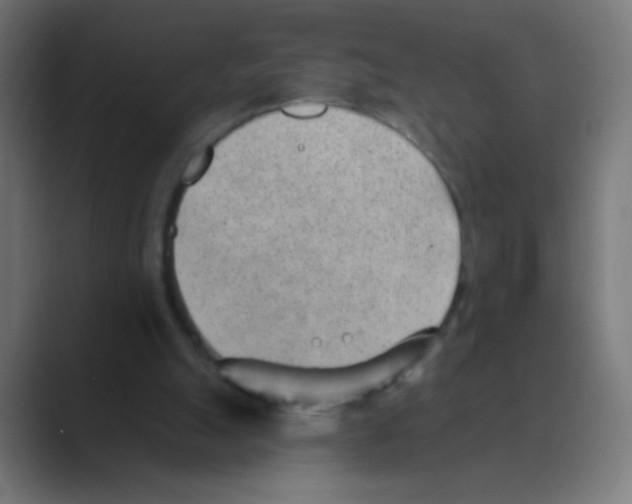 X0000088450055200706191318