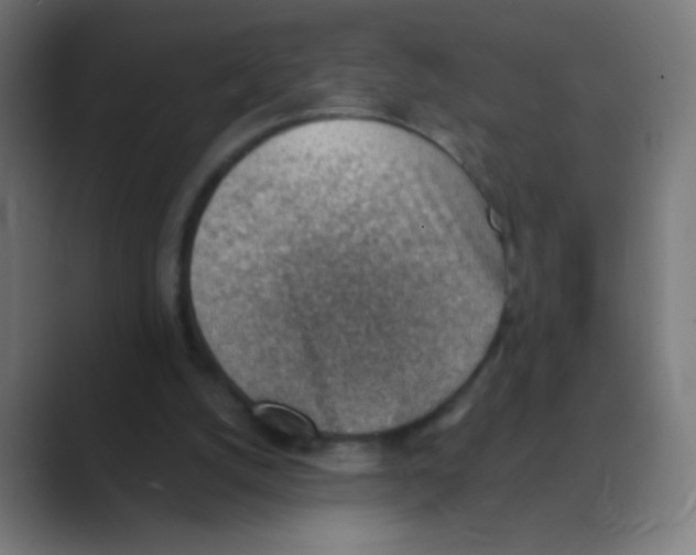 X0000088450056200706191318