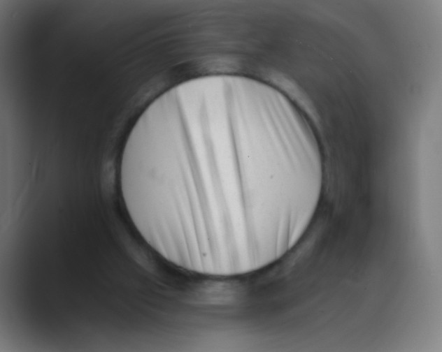 X0000088450057200706191318