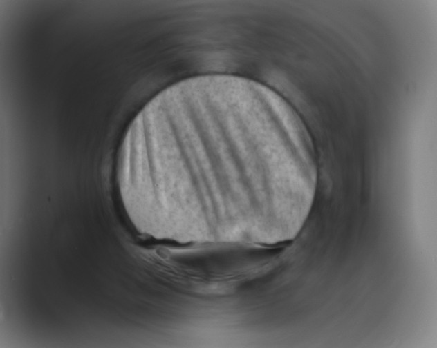 X0000088450058200706191318