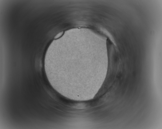 X0000088450059200706191318