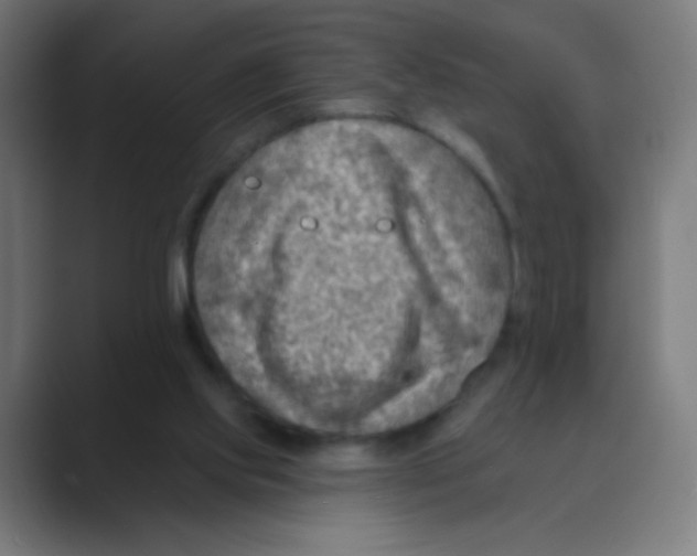 X0000088450061200706191318
