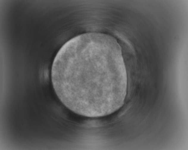 X0000088450067200706191318
