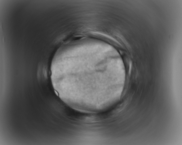 X0000088450068200706191318
