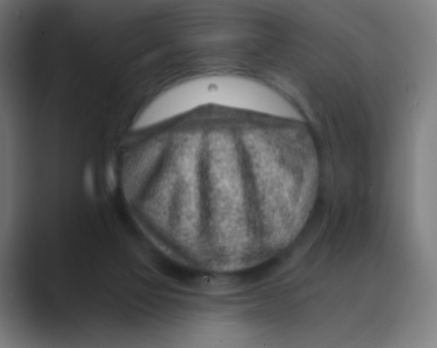 X0000088450069200706191318