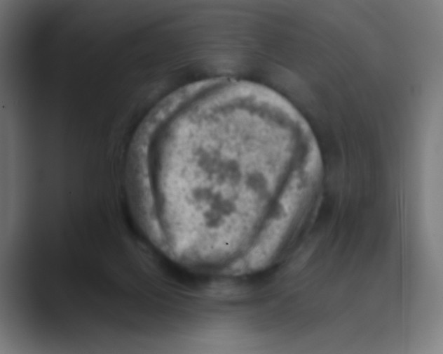 X0000088450070200706191318