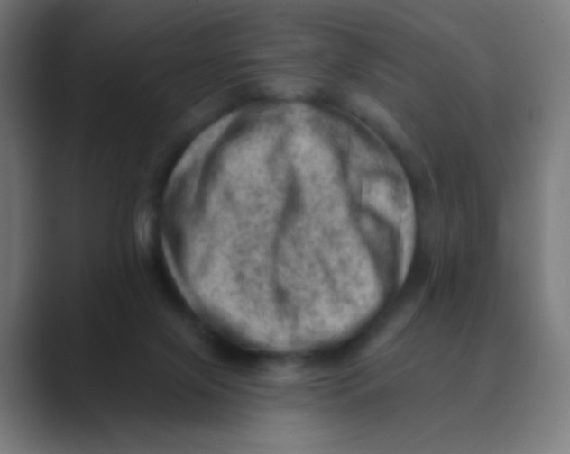 X0000088450071200706191318